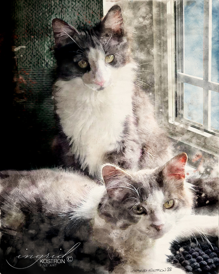 Two fluffy grey and white cats lounging on a windowsill. Artwork commissioned as gift for friend, private collection Smiths Falls Ontario